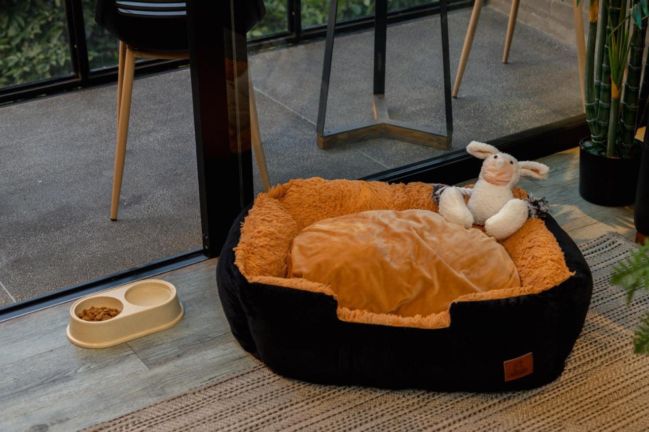 Soul Lifestyle Hotel Medellín Dış mekan fotoğraf