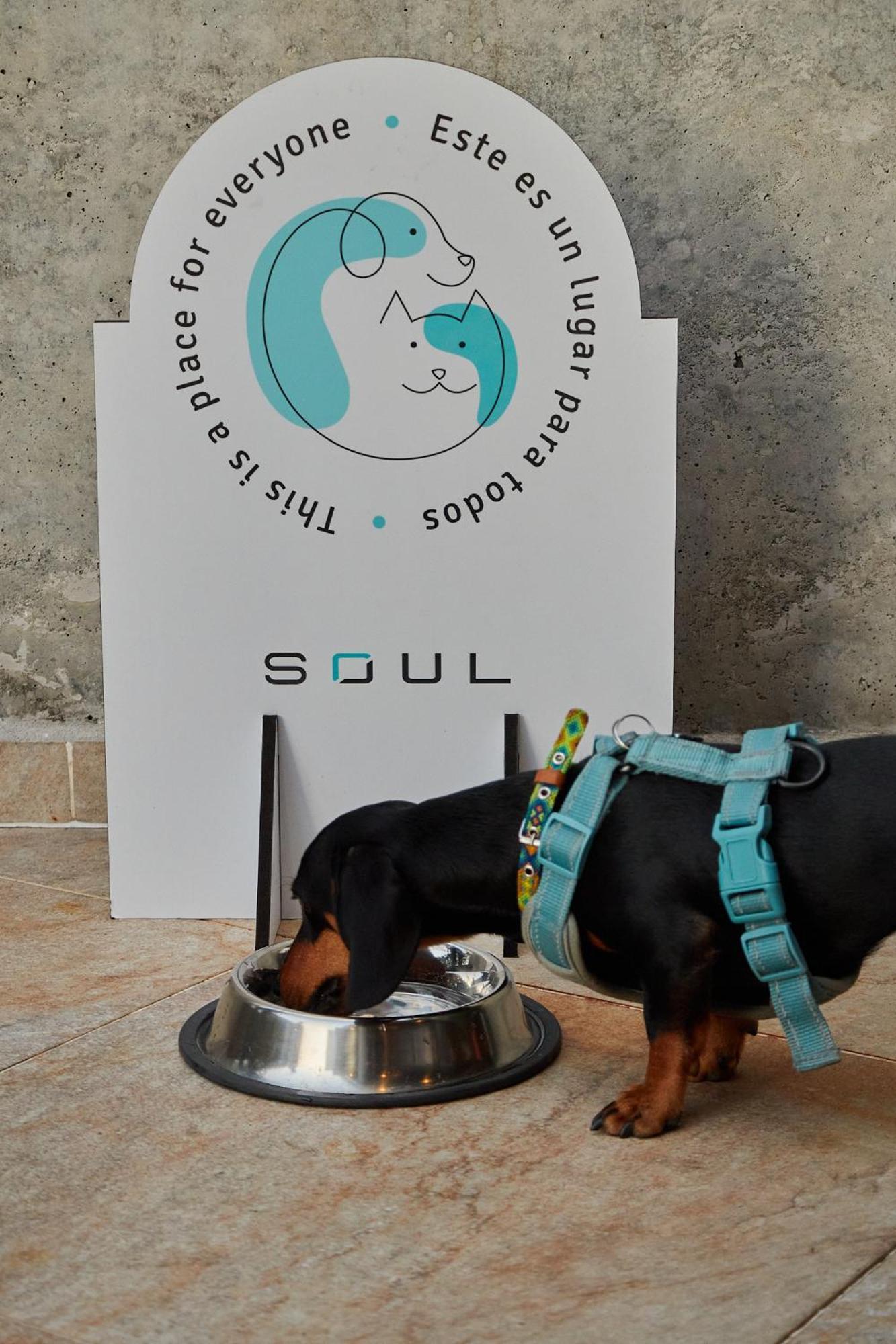 Soul Lifestyle Hotel Medellín Dış mekan fotoğraf